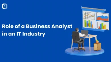 business analyst in an it industry